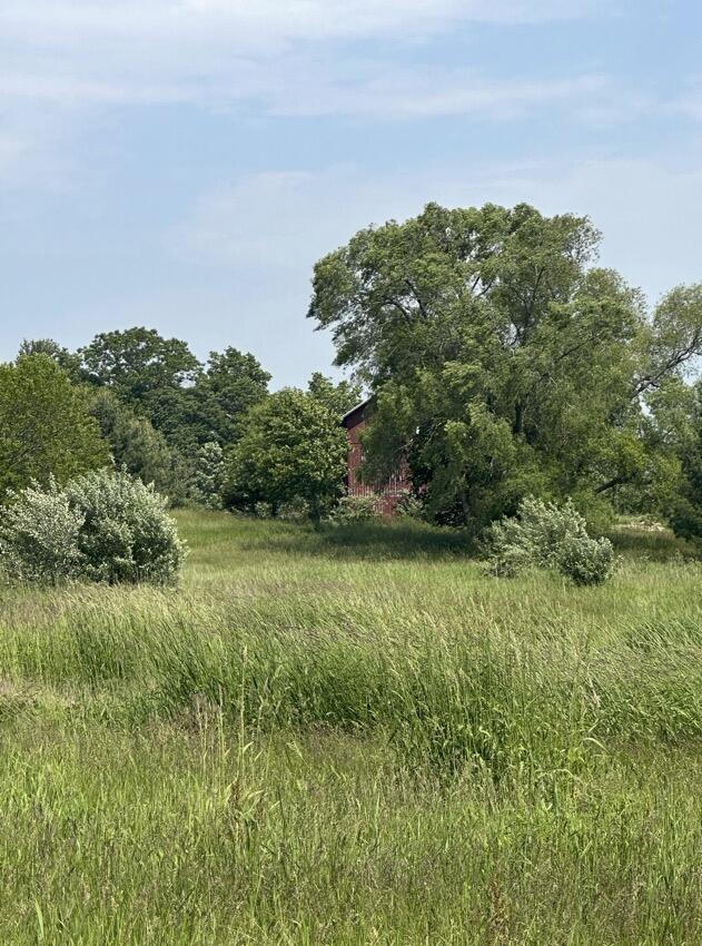 Rolling Hills Drive Fennville MI 49408