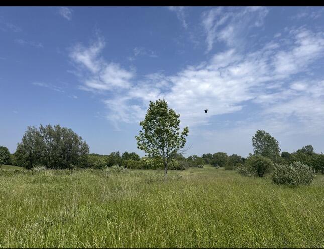Rolling Hills Drive Fennville MI 49408
