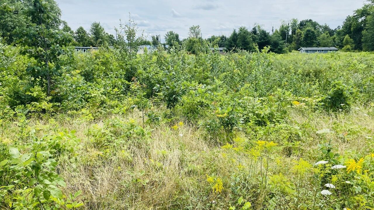 Kruger Road Three Oaks MI 49128