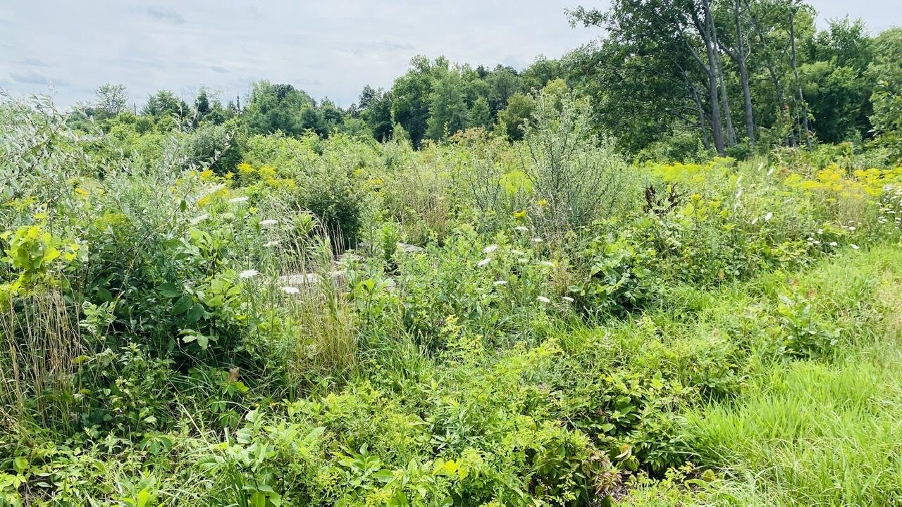 Kruger Road Three Oaks MI 49128