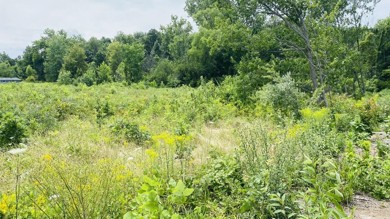 Kruger Road Three Oaks MI 49128