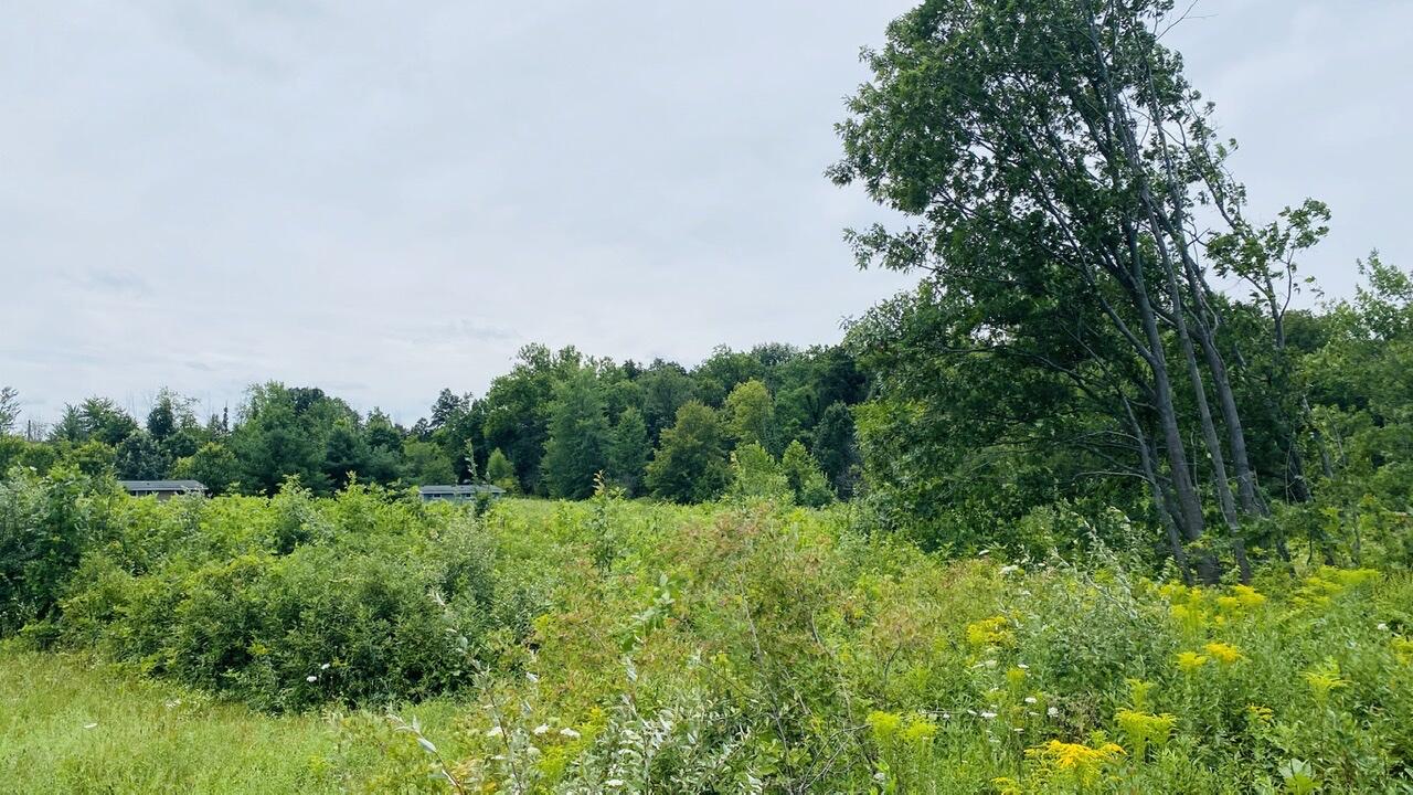 Kruger Road Three Oaks MI 49128