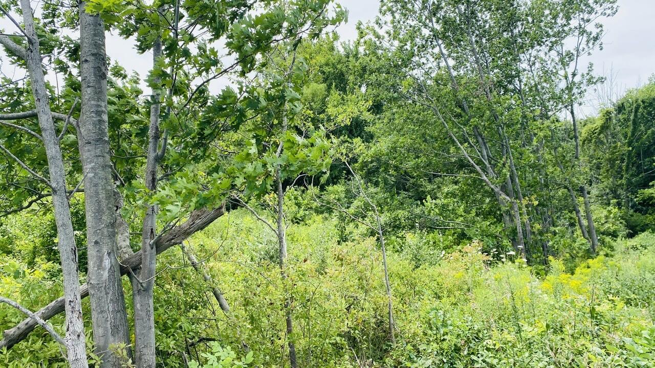 Kruger Road Three Oaks MI 49128