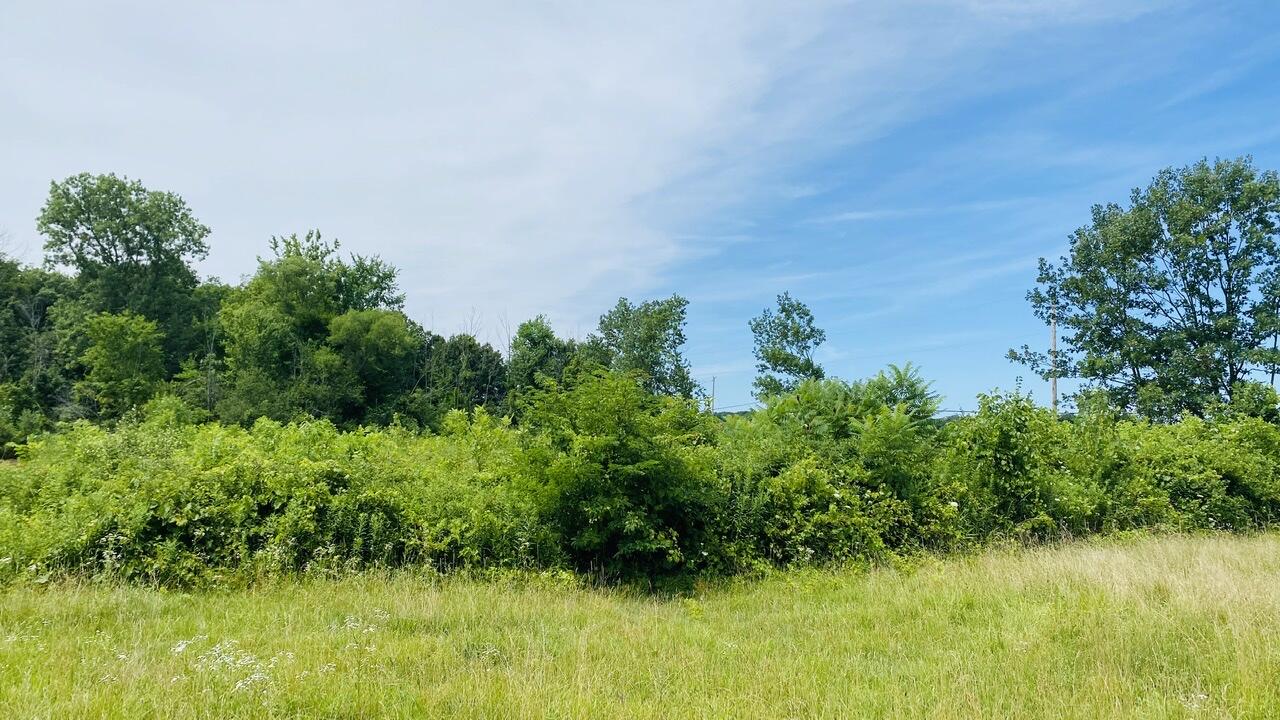 Kruger Road Three Oaks MI 49128