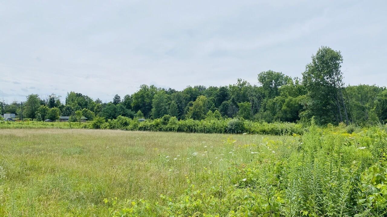 Kruger Road Three Oaks MI 49128