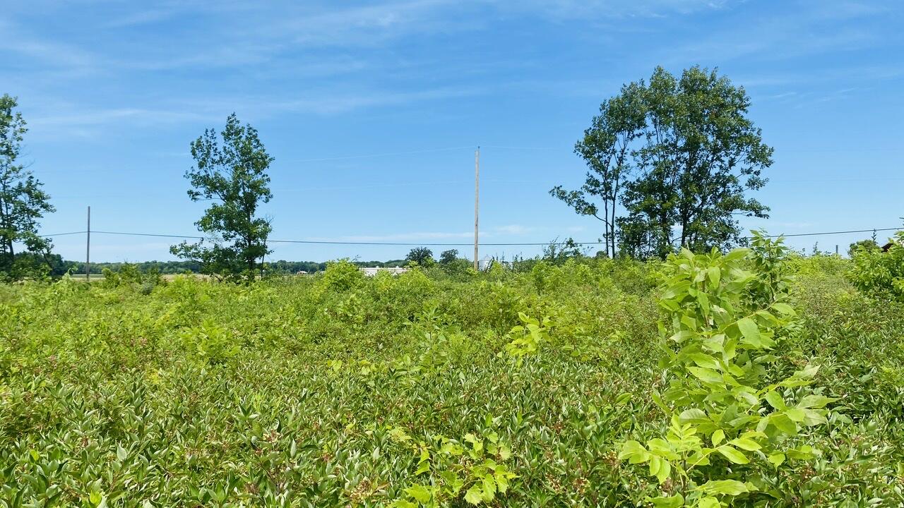 Kruger Road Three Oaks MI 49128