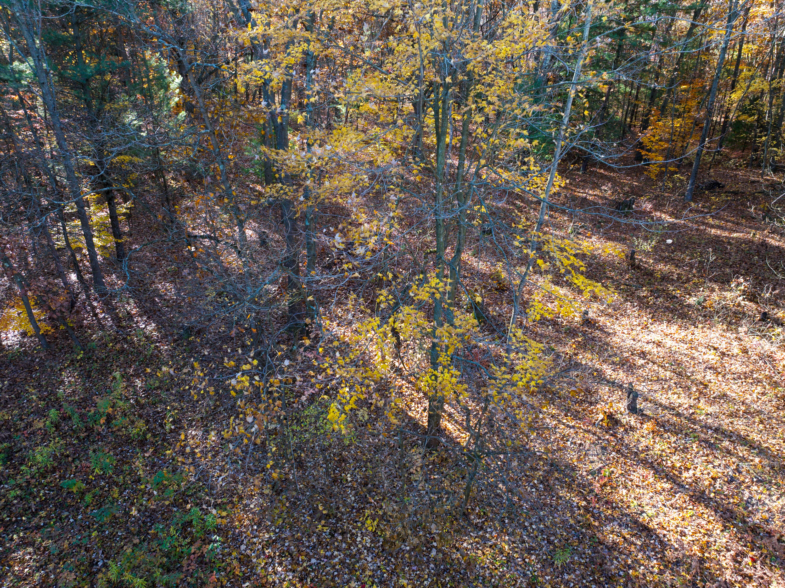 6440 Gaslight Lane Saugatuck MI 49453
