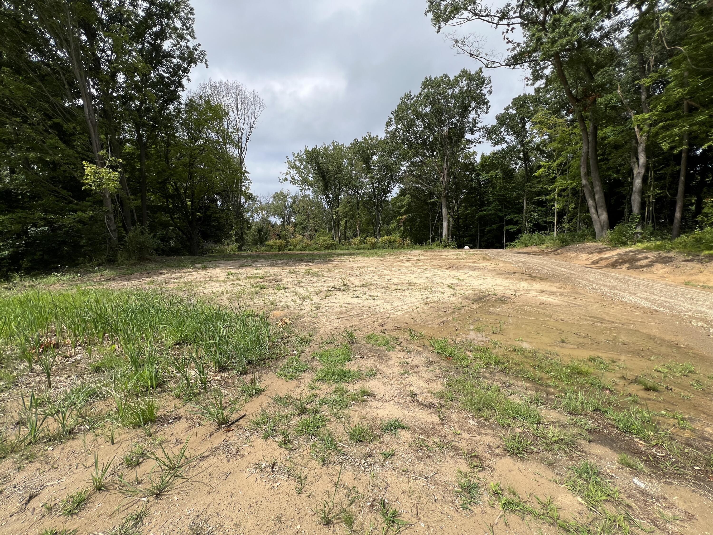 5908 Pierce Street Coloma MI 49038
