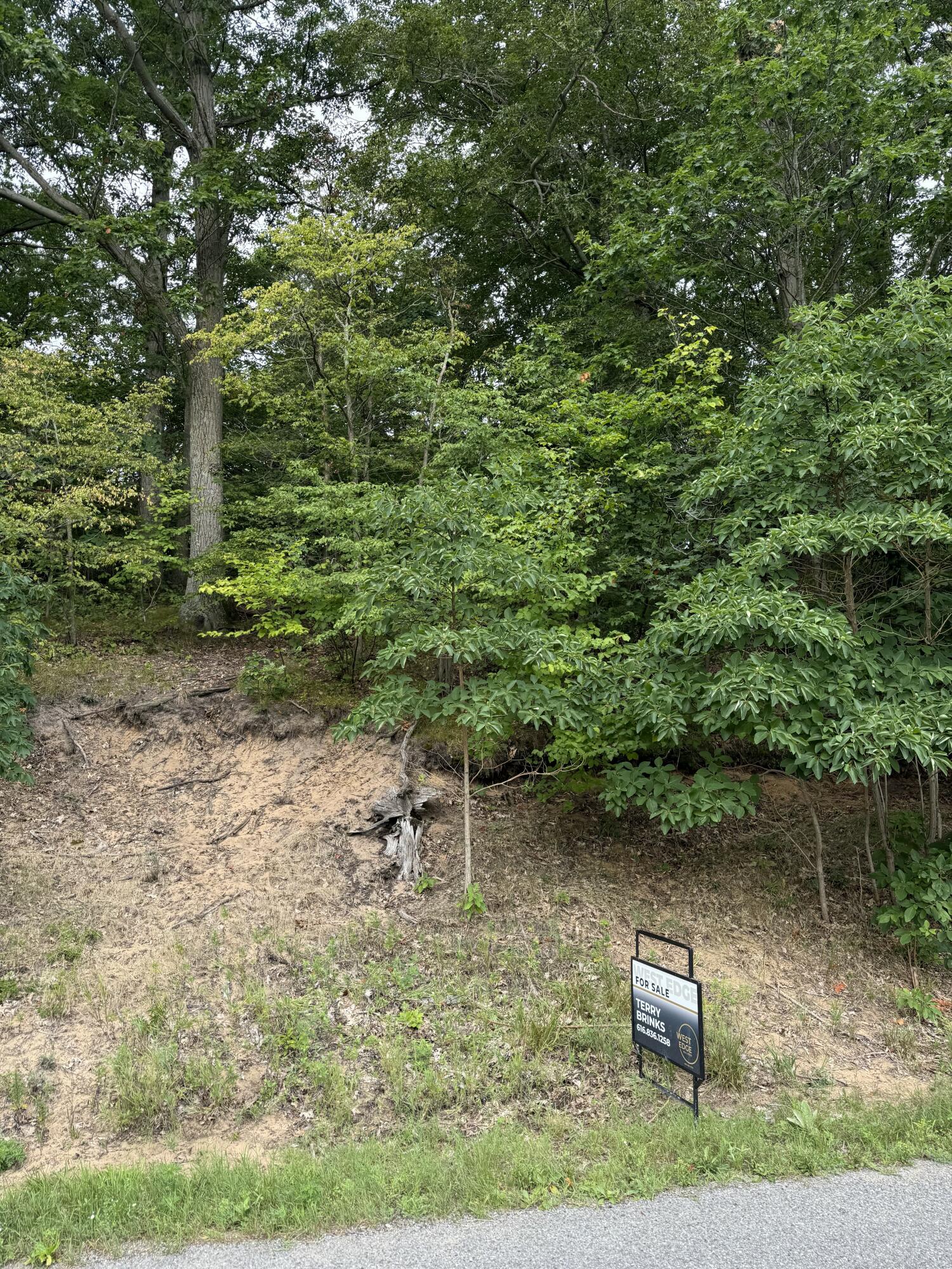 Wildwood Drive West Olive MI 49460