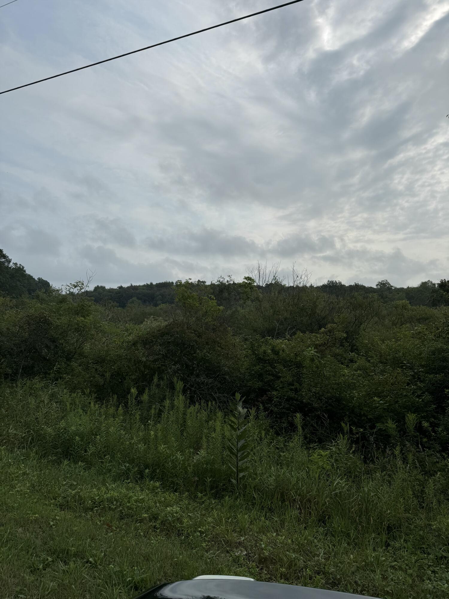 Wildwood Drive West Olive MI 49460