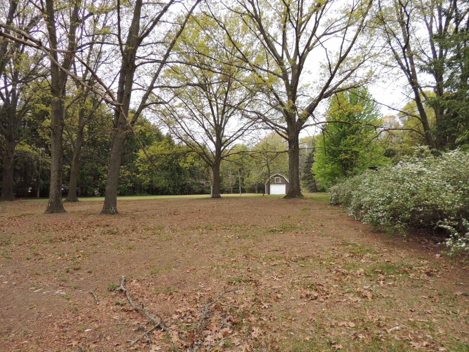 V/l 55th Street Fennville MI 49408