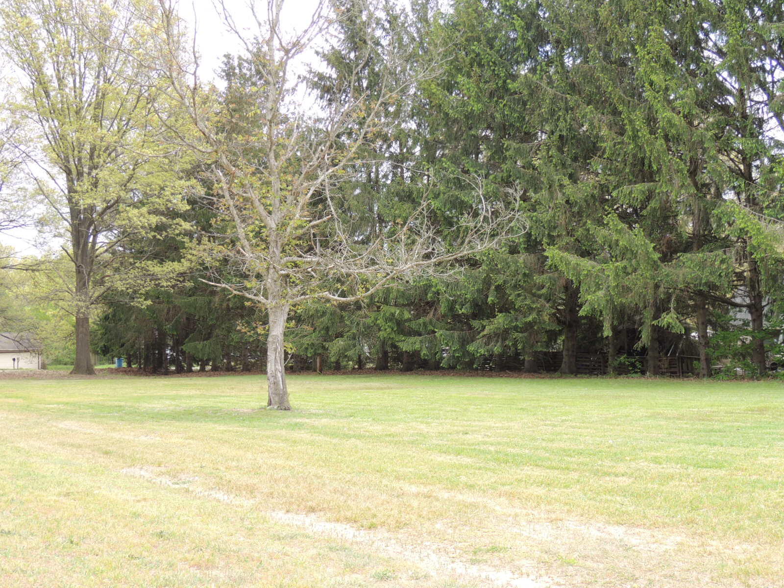V/l 55th Street Fennville MI 49408