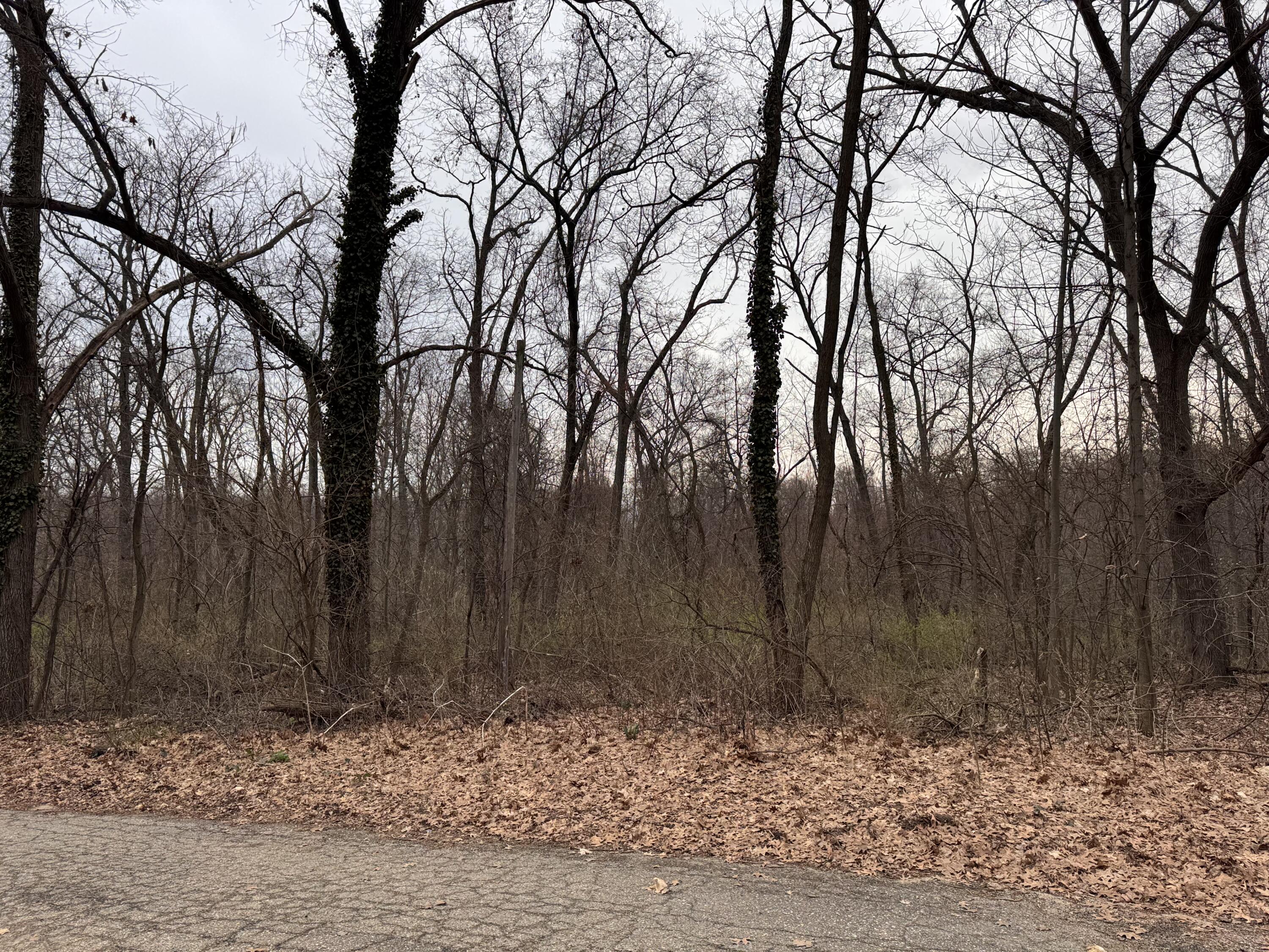 Lakeview Drive Dowagiac MI 49047