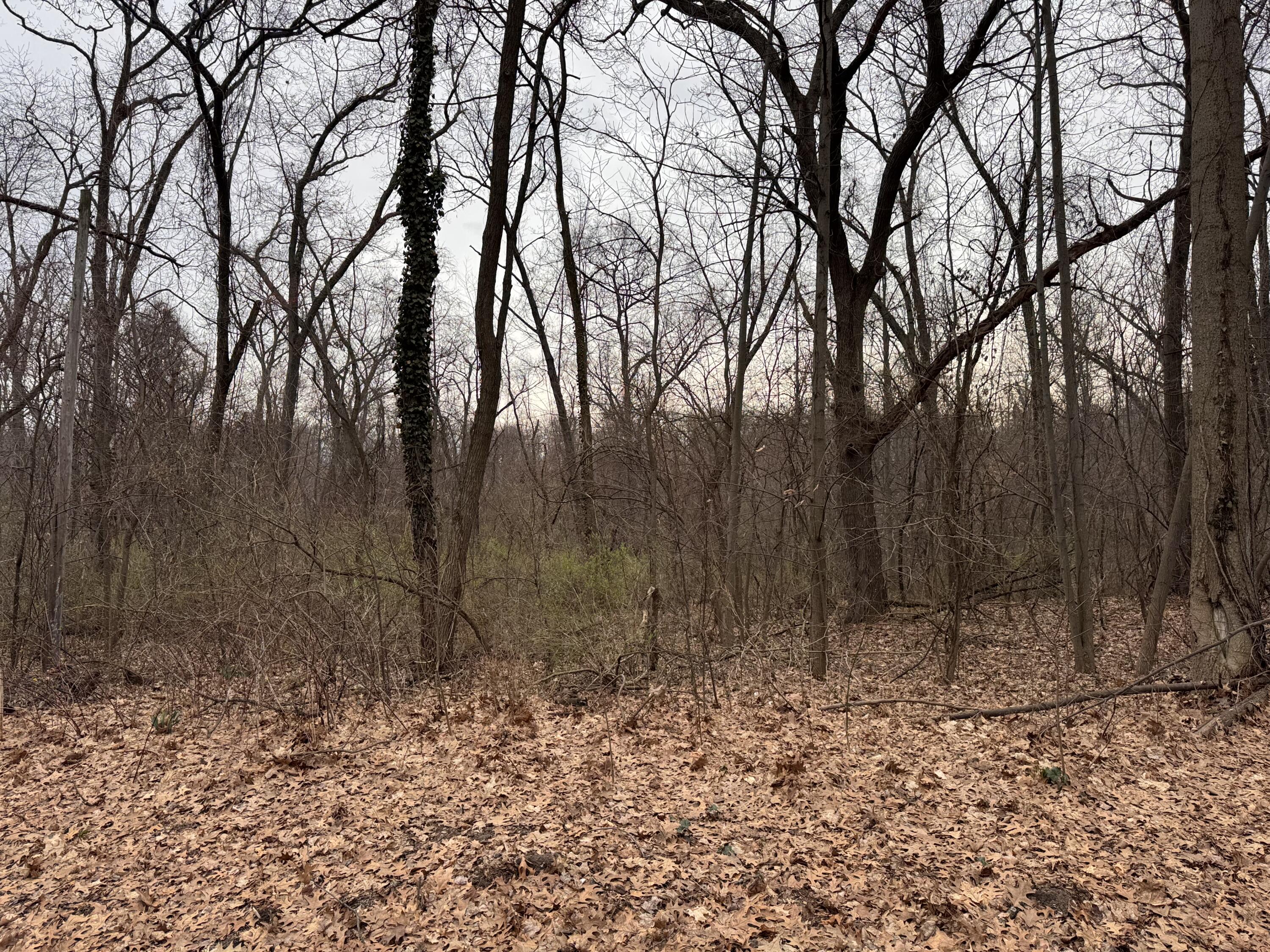 Lakeview Drive Dowagiac MI 49047