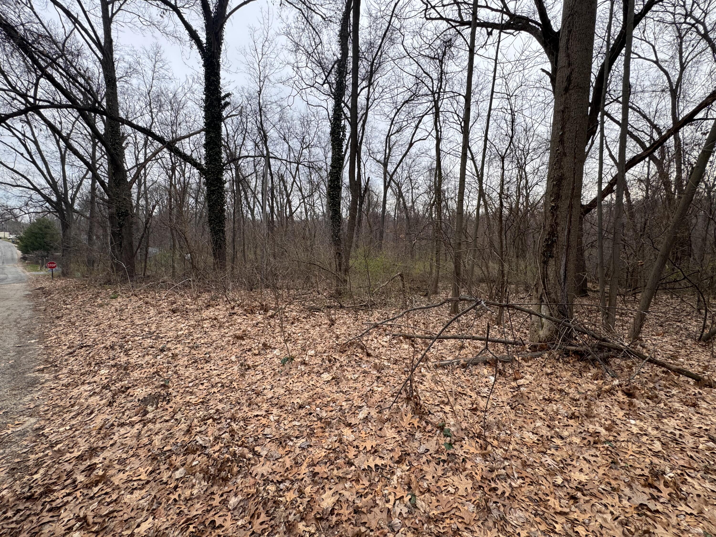 Lakeview Drive Dowagiac MI 49047