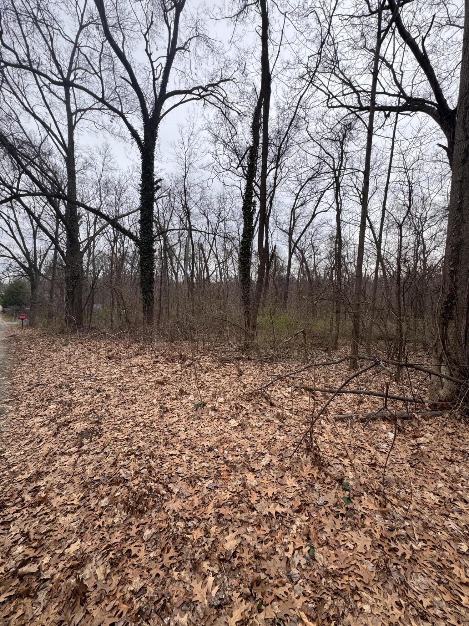 Lakeview Drive Dowagiac MI 49047