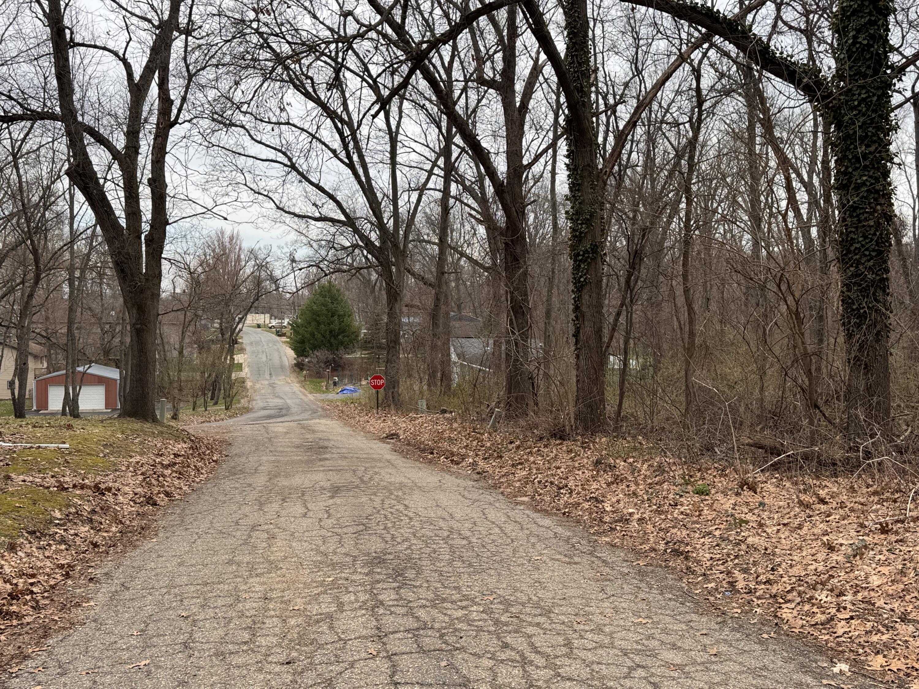 Lakeview Drive Dowagiac MI 49047