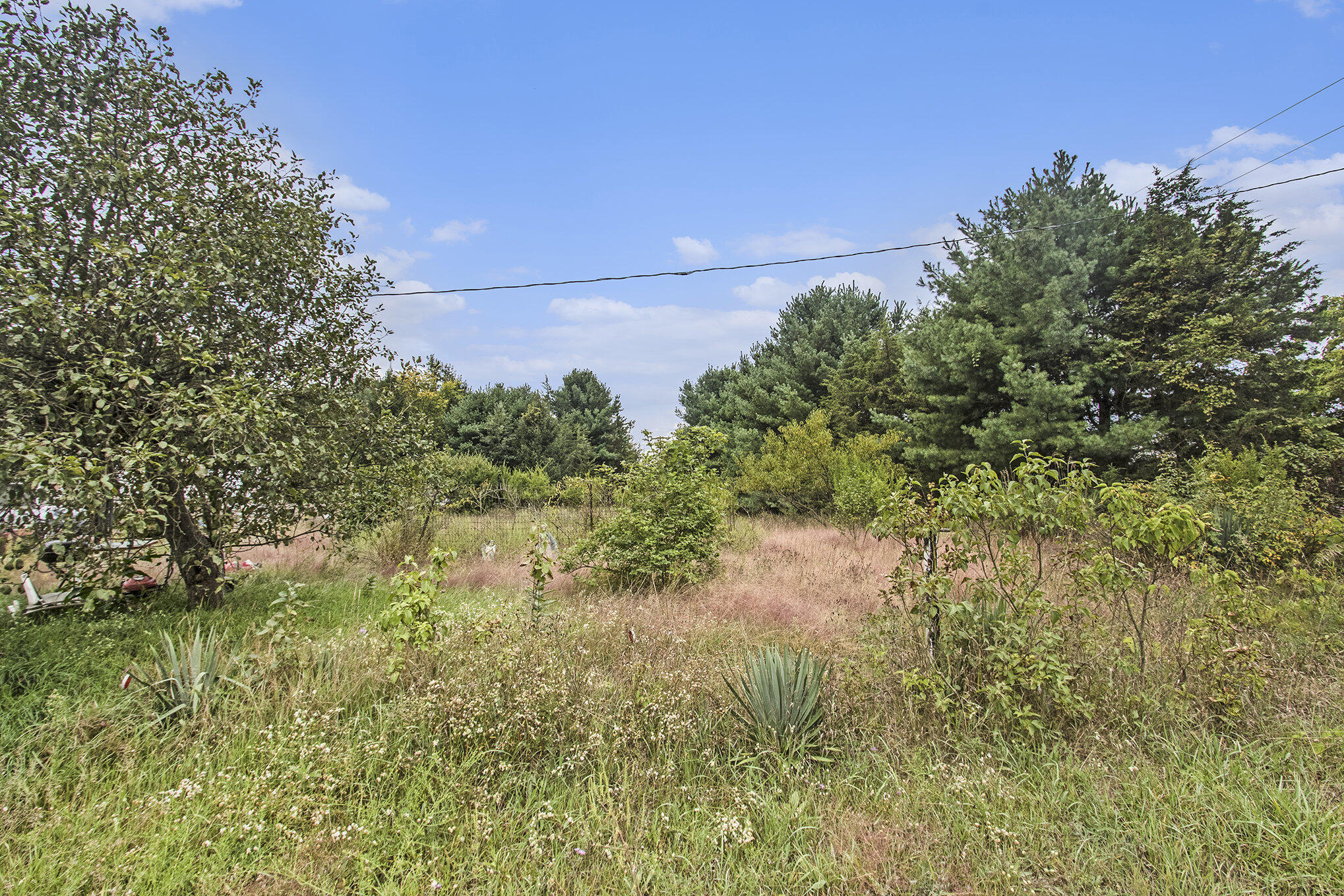 305 55th Street Grand Junction MI 49056
