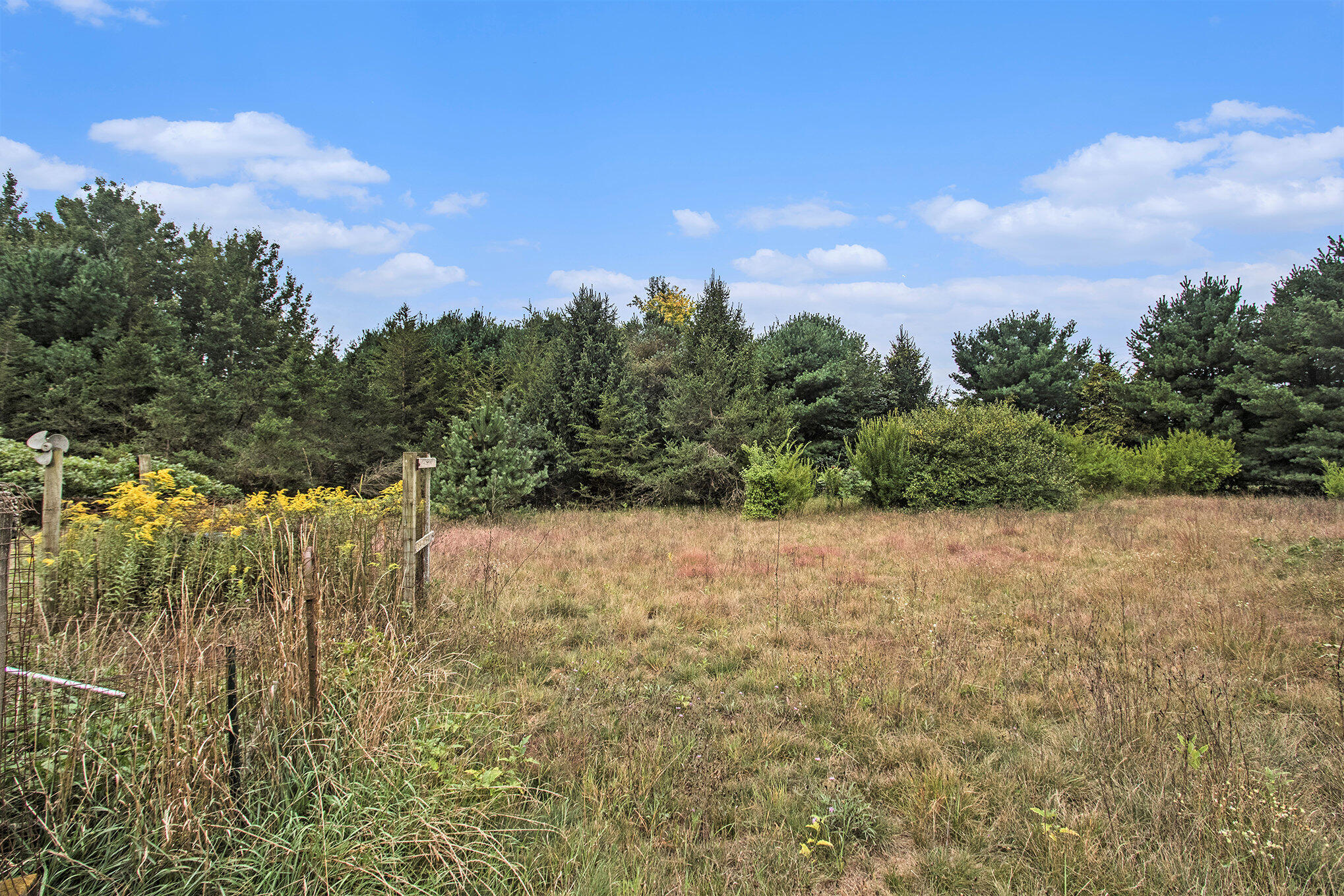 305 55th Street Grand Junction MI 49056