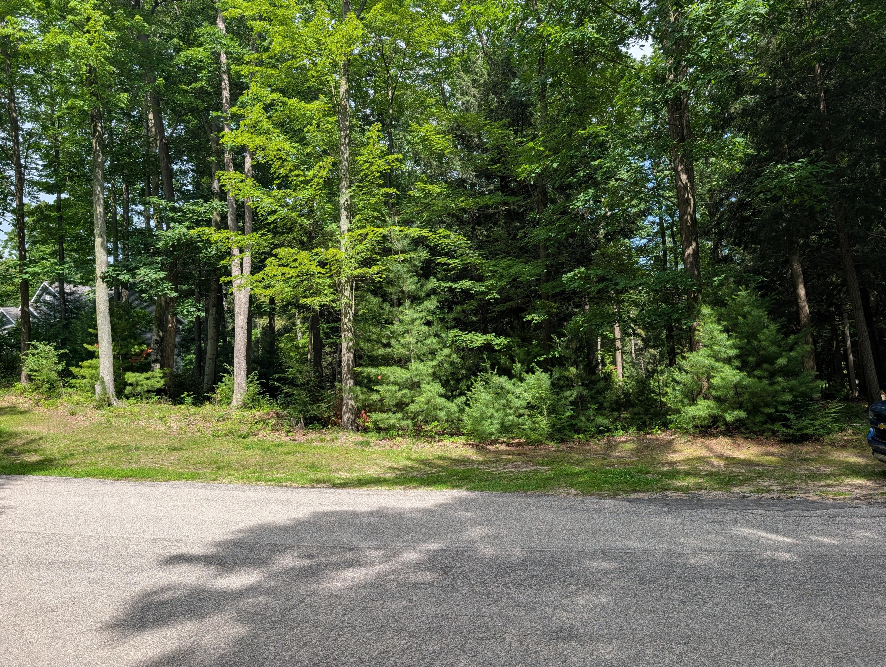 N. Glen Wood Drive Ludington MI 49431