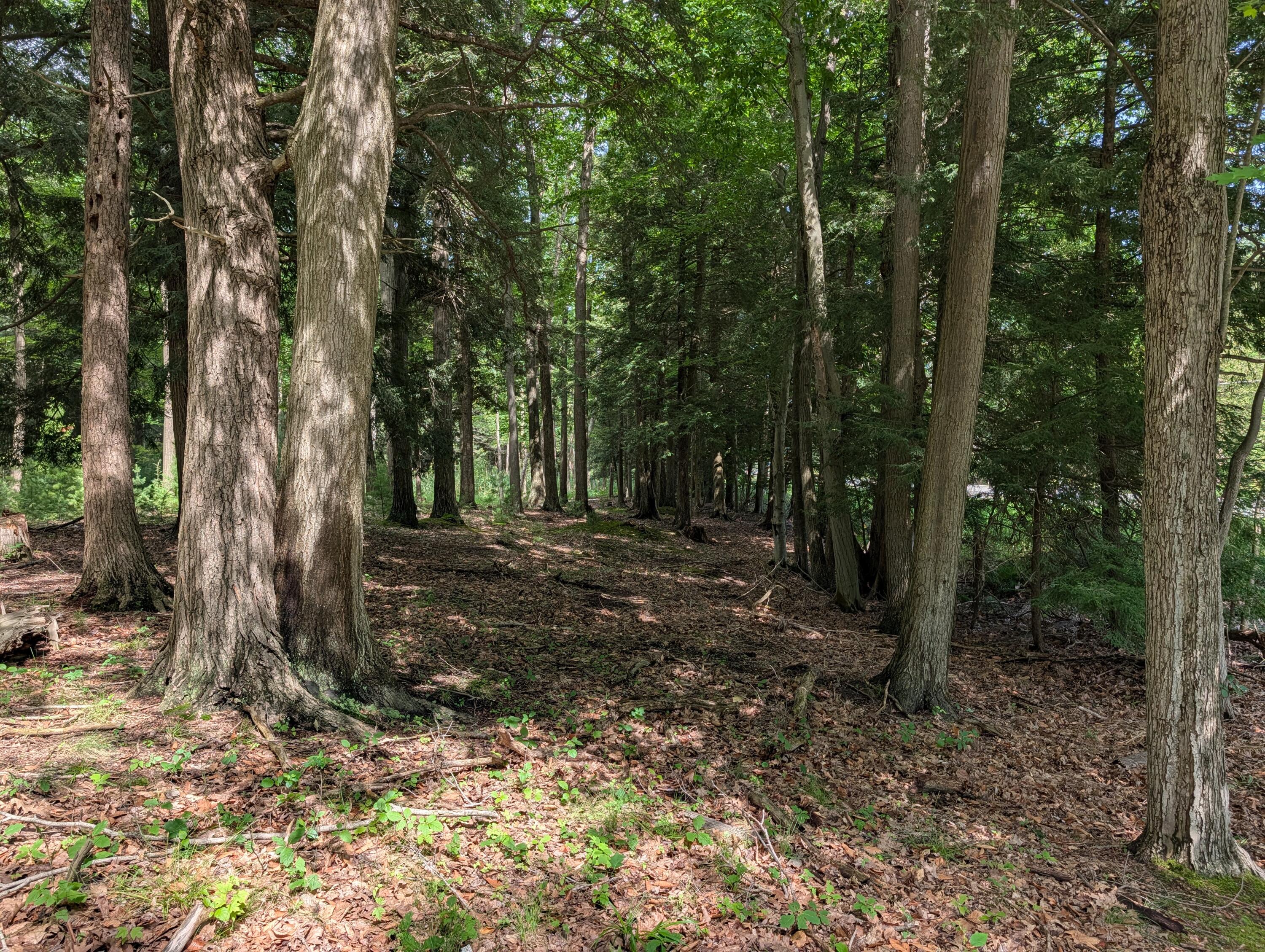 N. Glen Wood Drive Ludington MI 49431