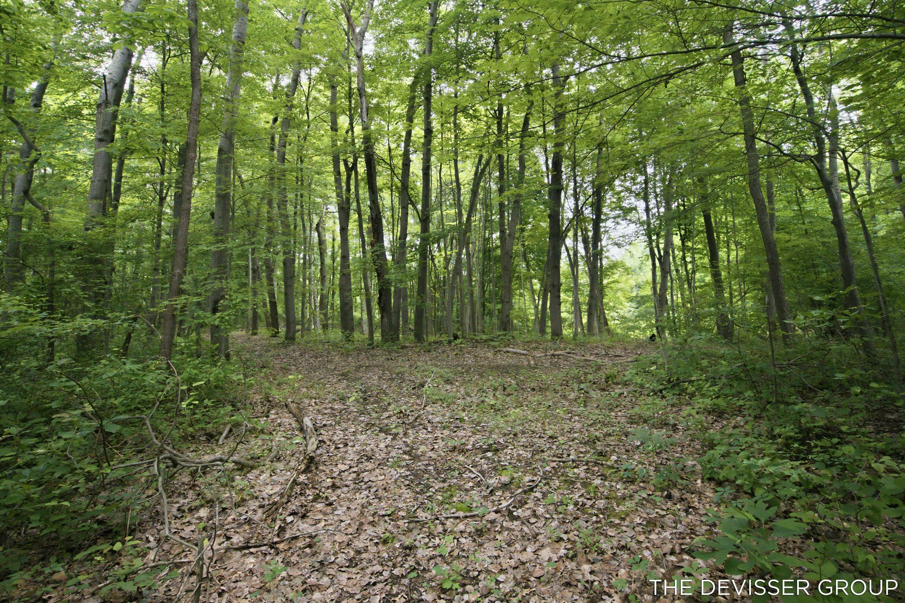 A Rolling Ridge Road Allegan MI 49010