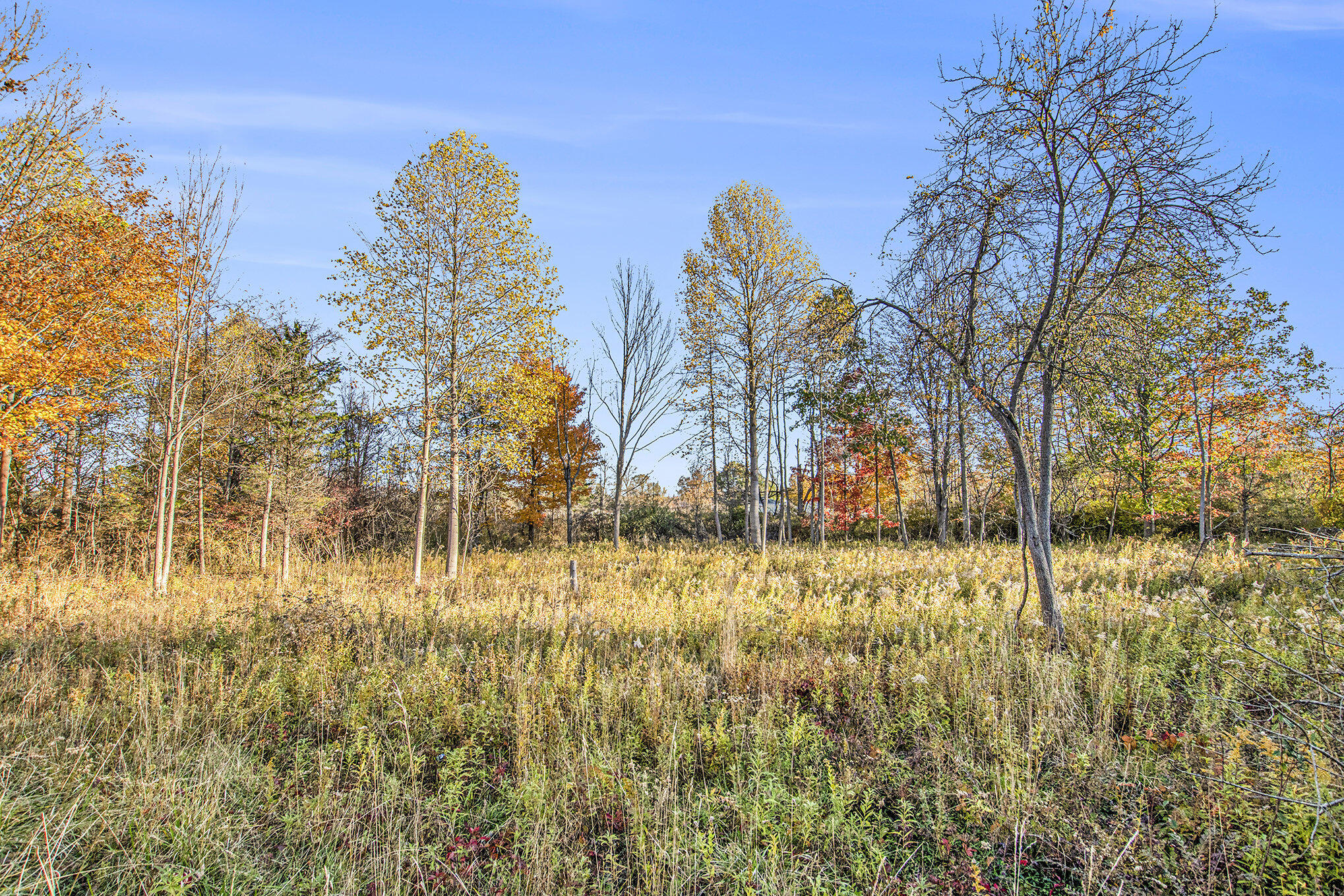 Ville Beachview Drive South Haven MI 49090