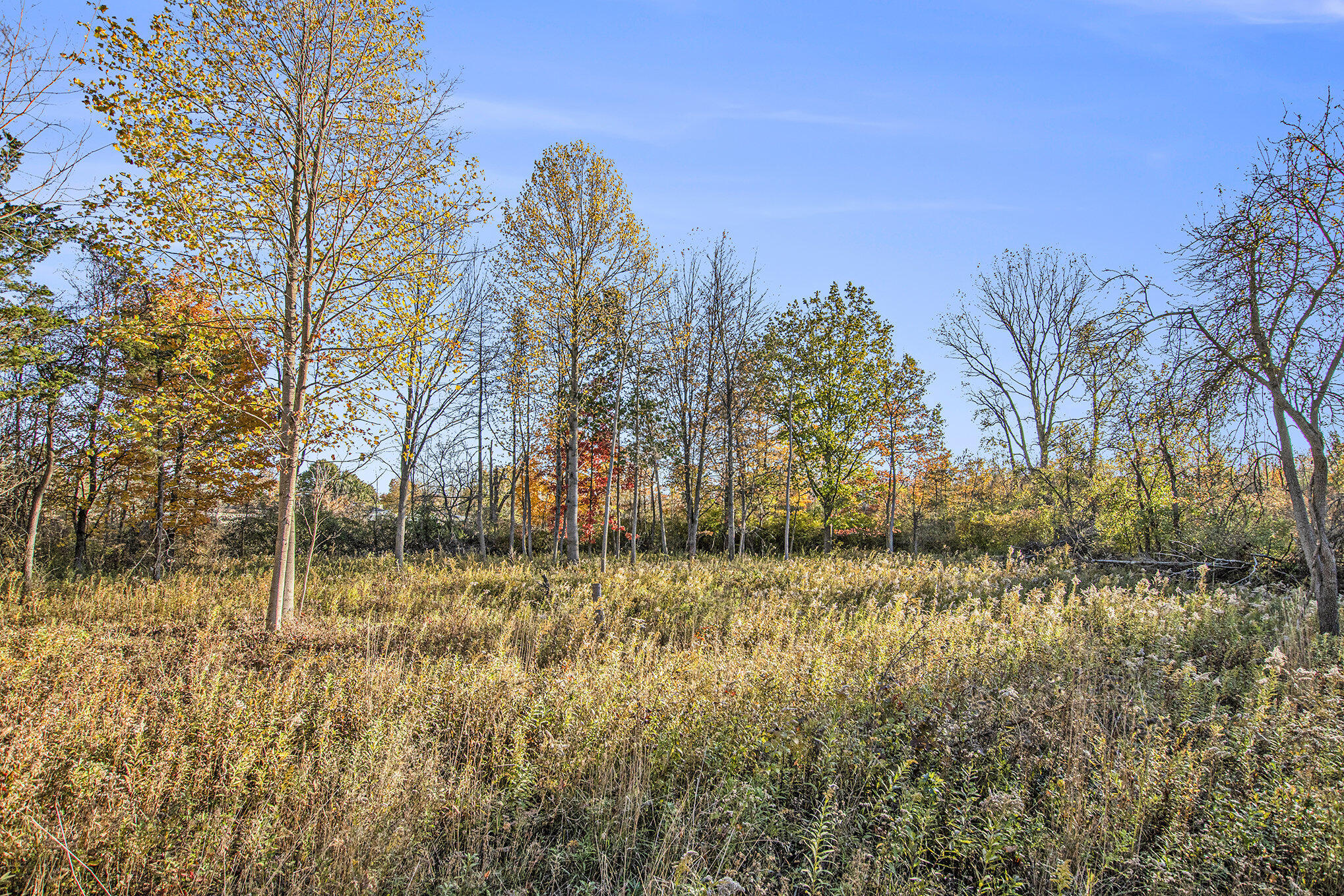 Ville Beachview Drive South Haven MI 49090