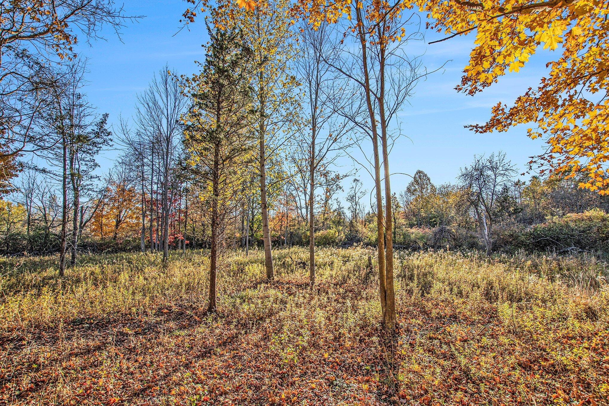 Ville Beachview Drive South Haven MI 49090