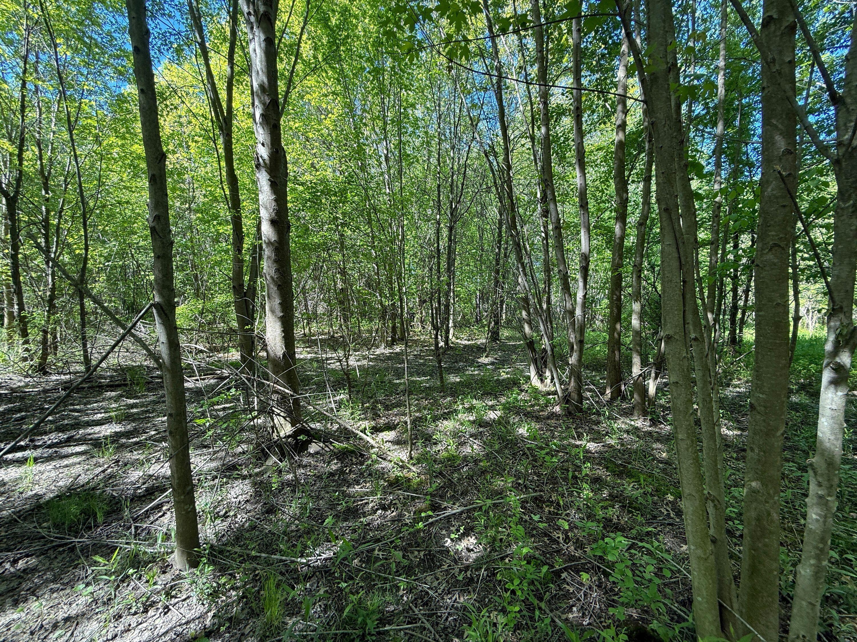 13817 S Log Cabin Road Three Oaks MI 49128