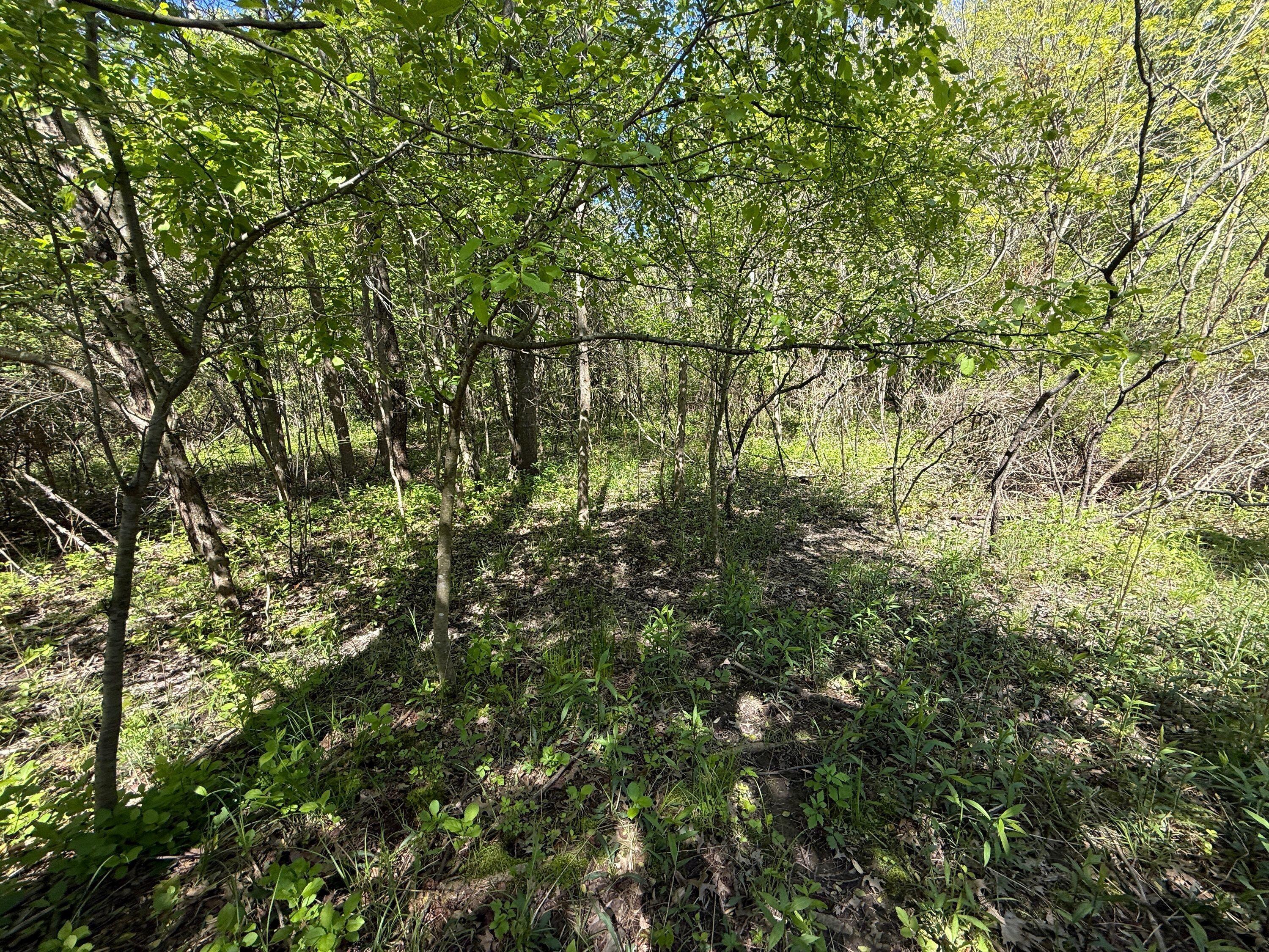 13817 S Log Cabin Road Three Oaks MI 49128