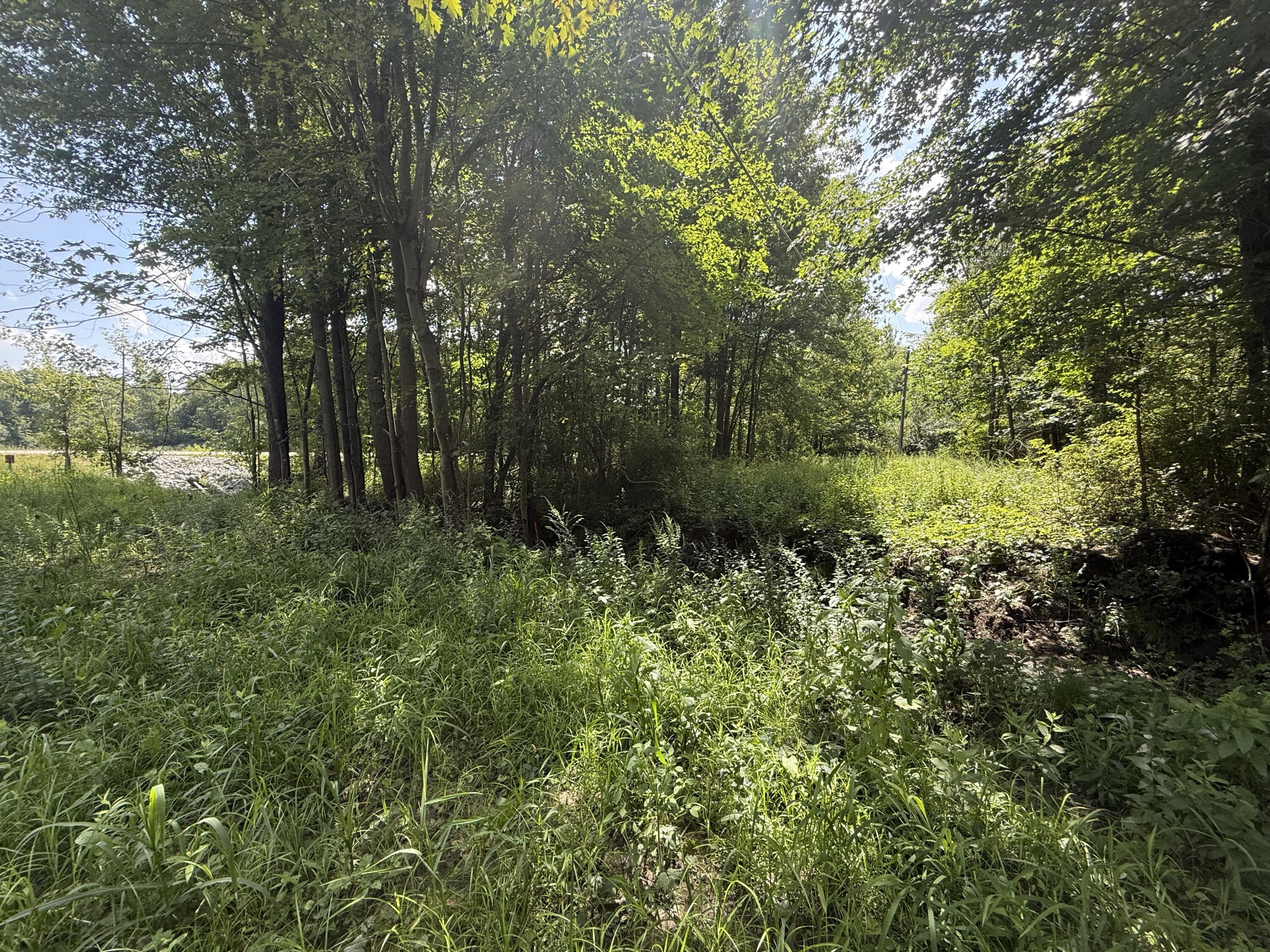 44950 Michigan 140 Covert MI 49043
