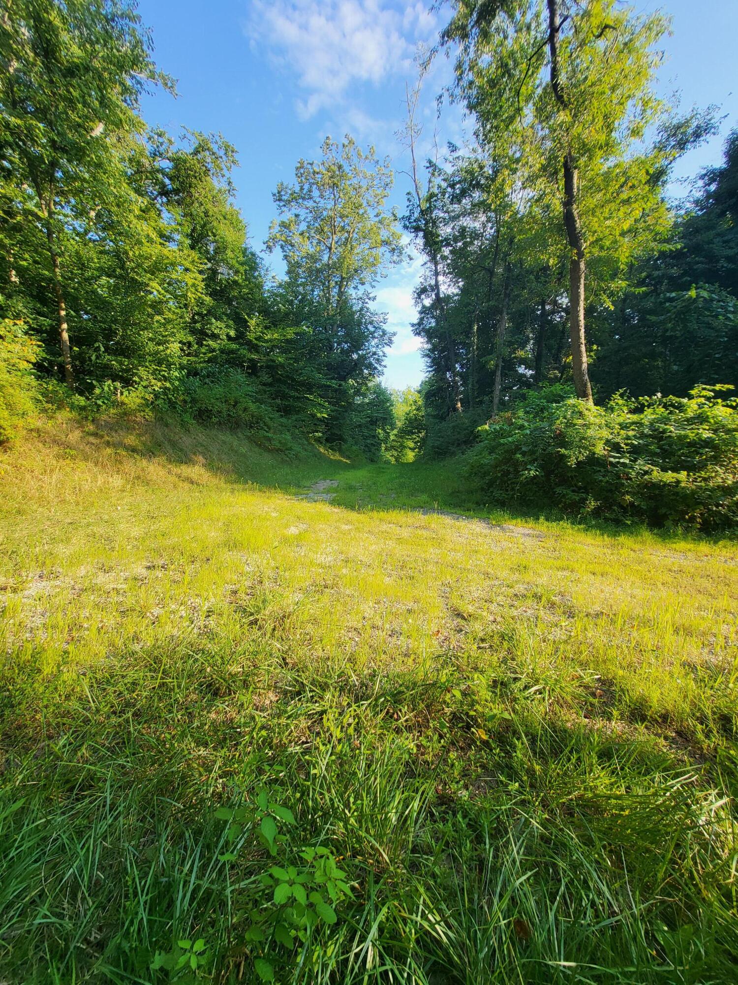 65945 5.7a Calvin Center Road Cassopolis MI 49031