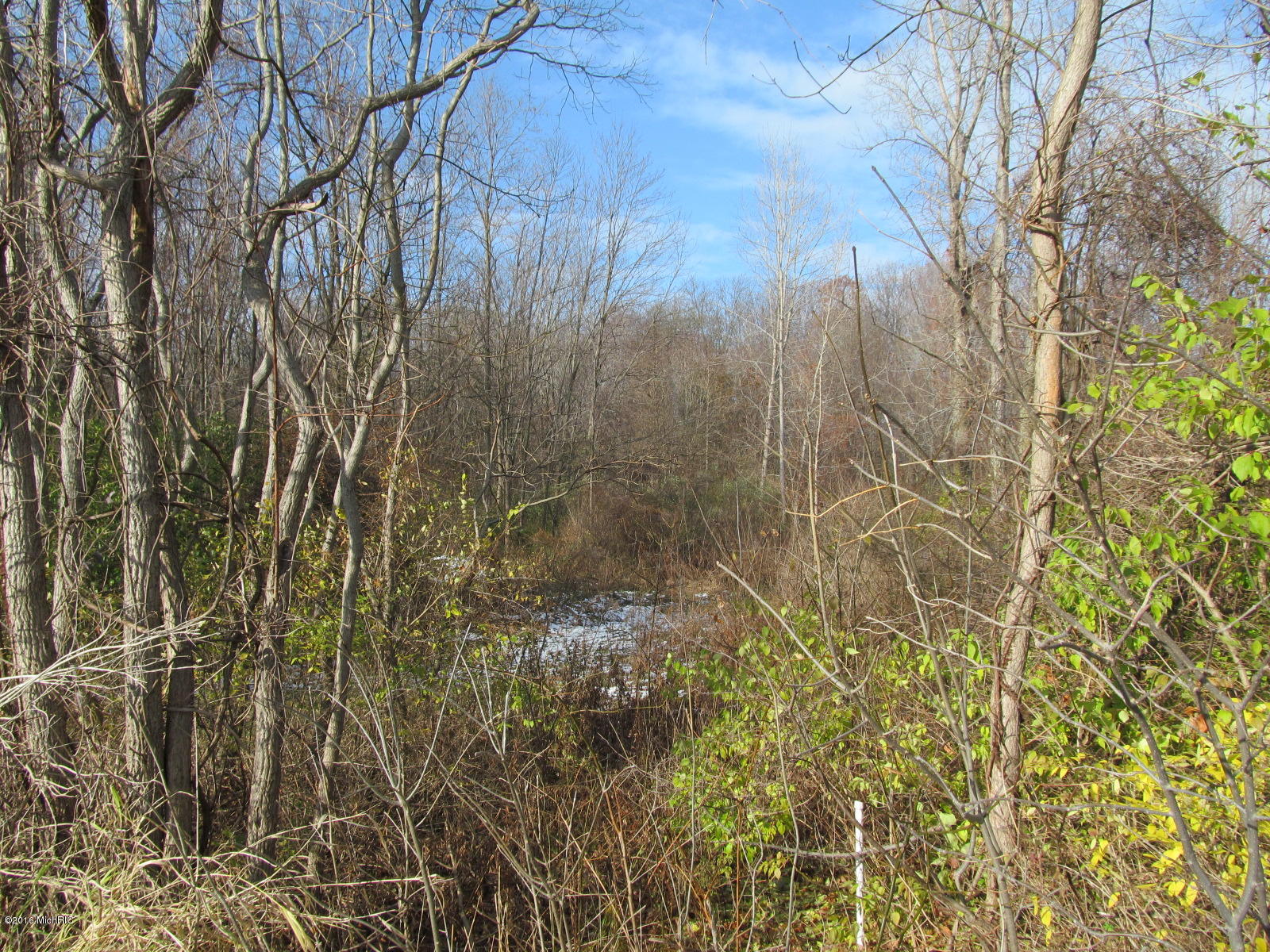 0 W Marquette Woods Road Stevensville MI 49127