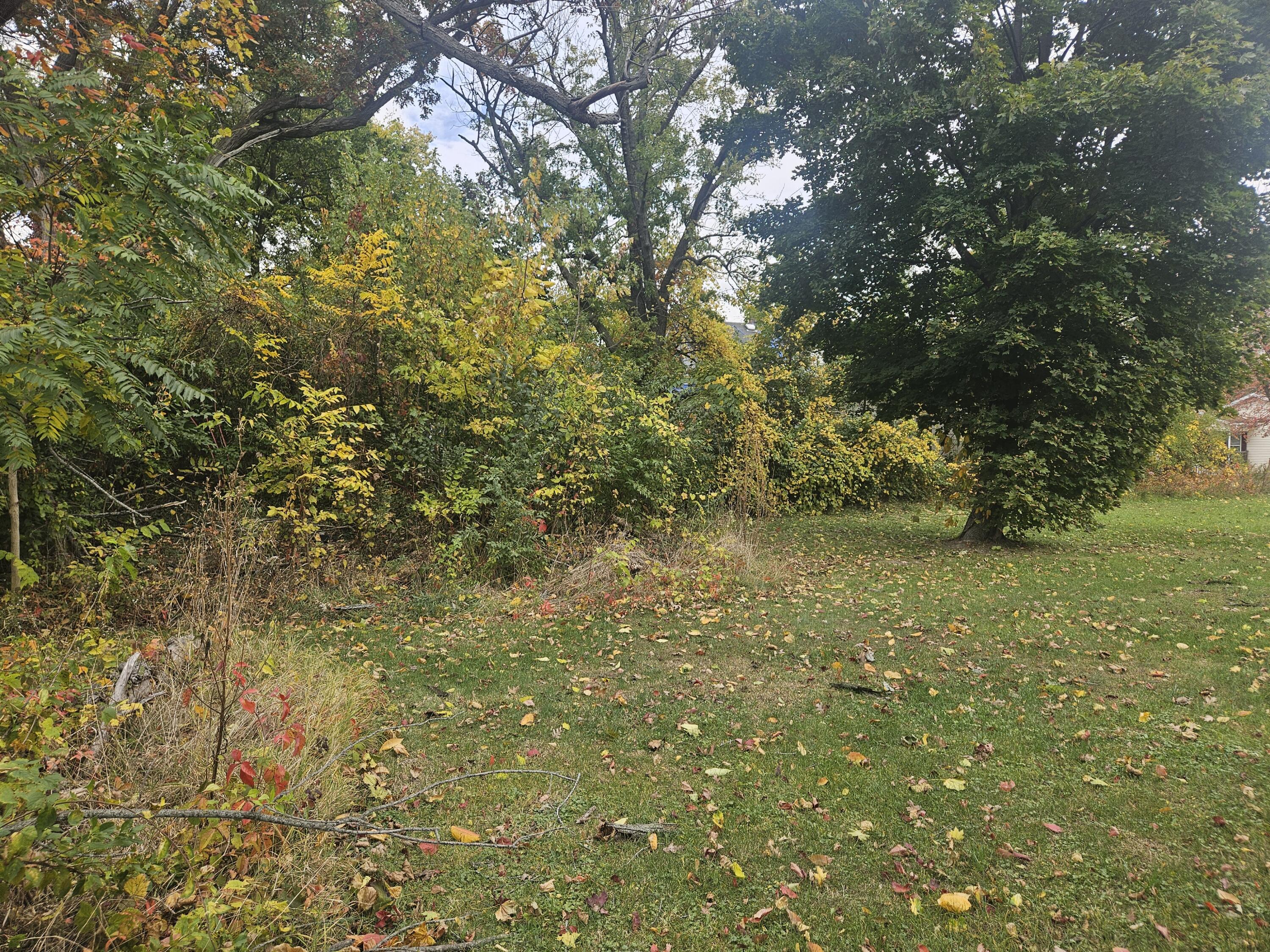 238 Pine Street Benton Harbor MI 49022