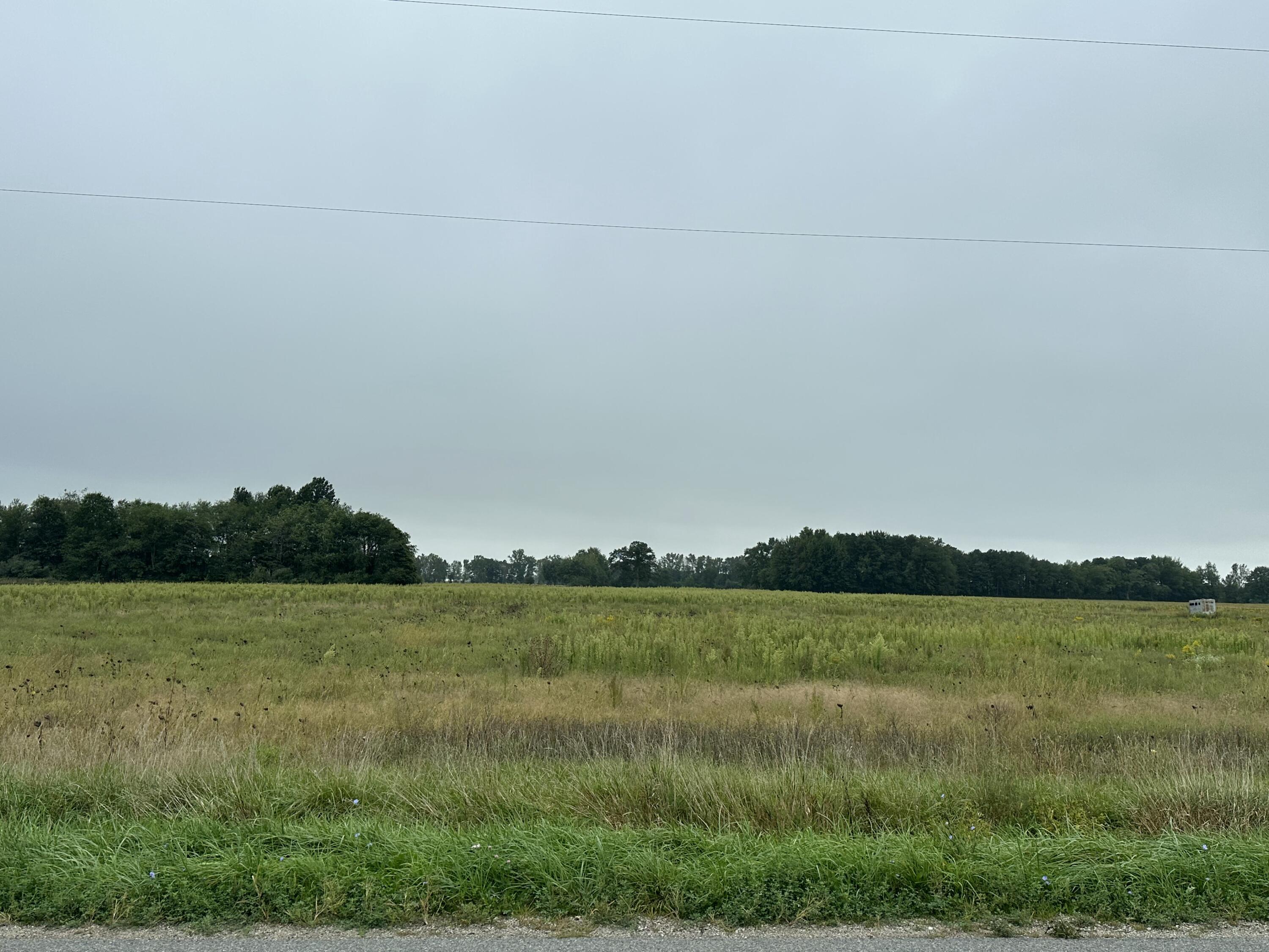 10124 New Holland Street Zeeland MI 49464