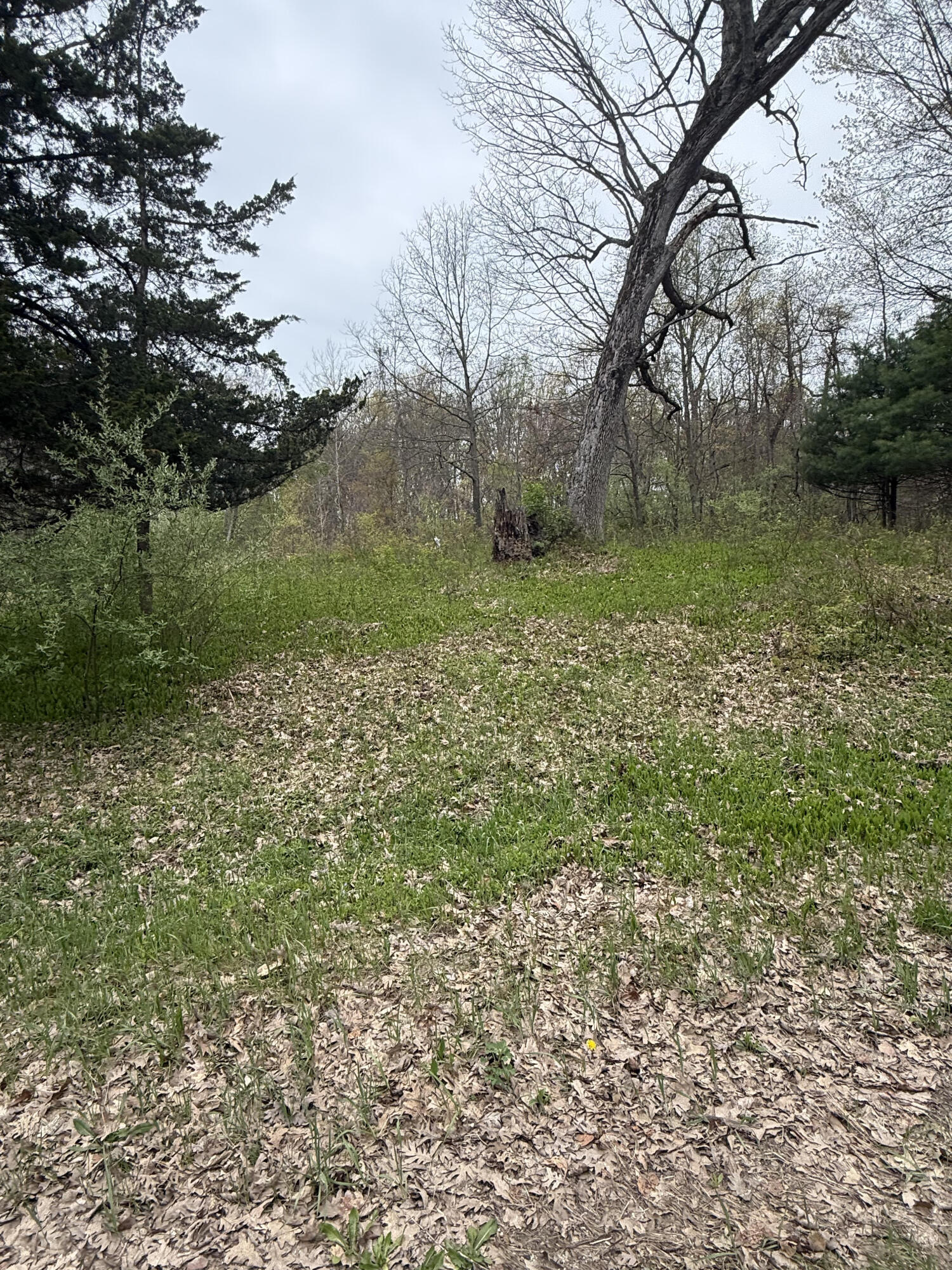 00360 51 1/2 Street Grand Junction MI 49056