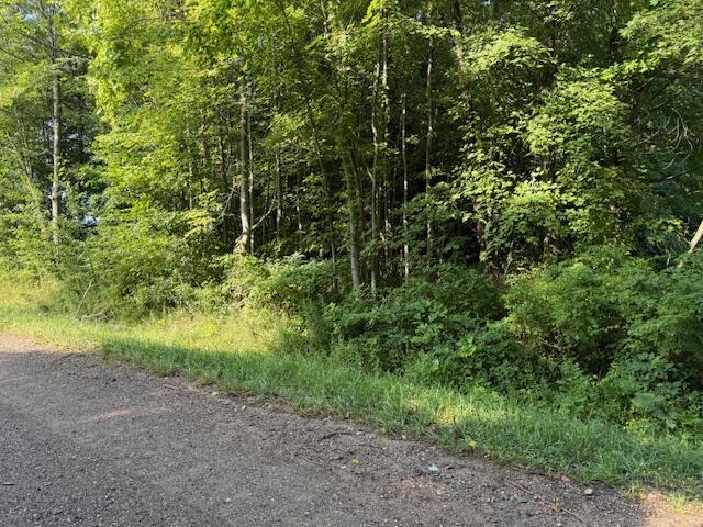 5815 Jefferson Street Coloma MI 49038