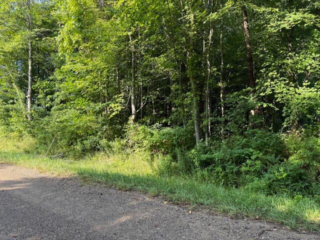 5815 Jefferson Street Coloma MI 49038