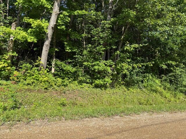5815 Jefferson Street Coloma MI 49038