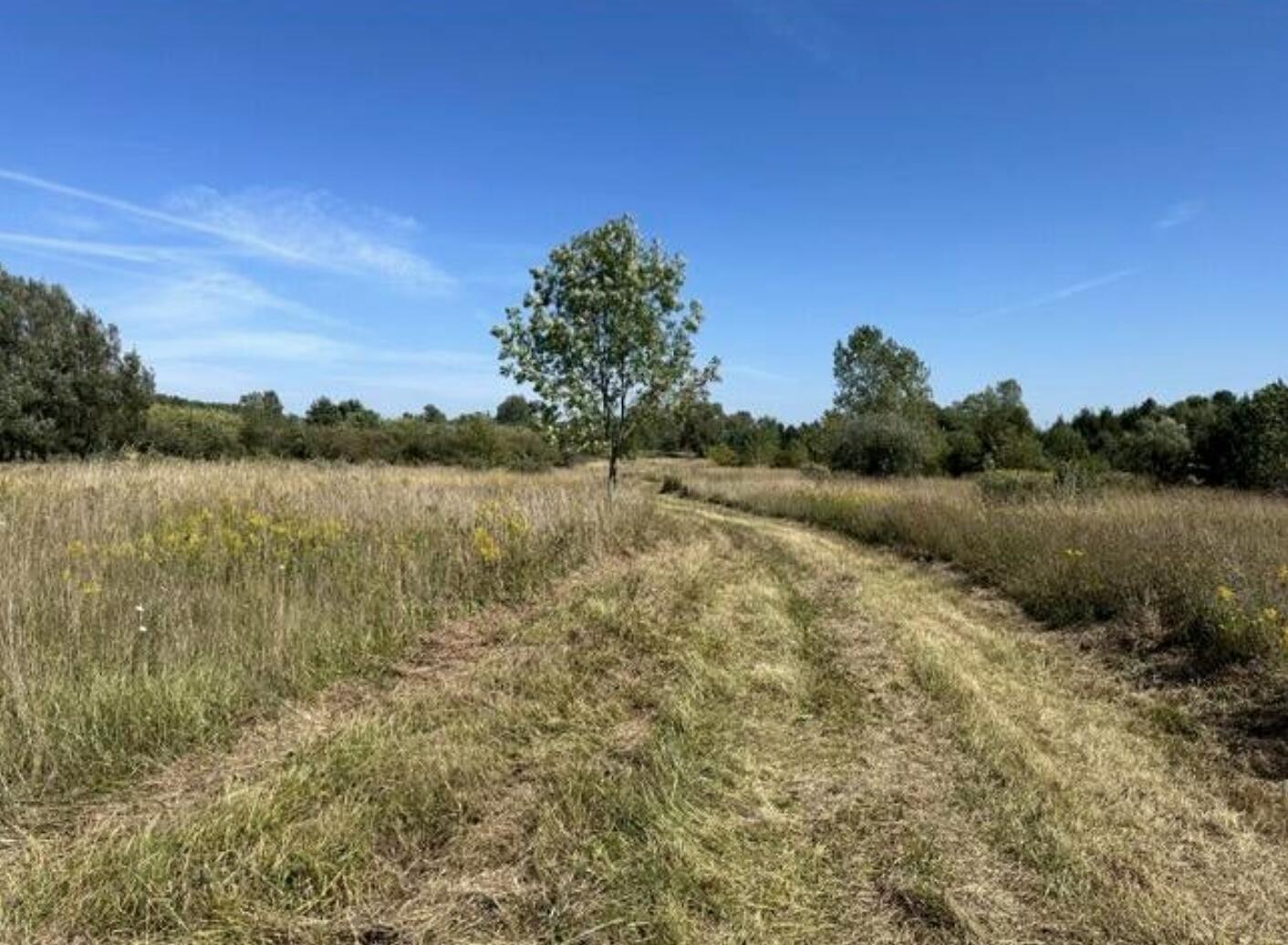 V/l Rolling Hills Drive Allegan MI 49408