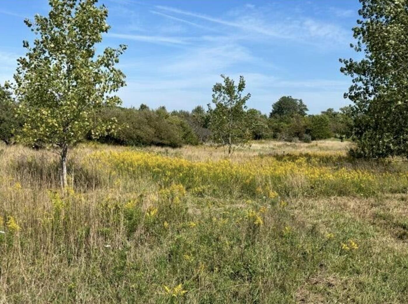V/l Rolling Hills Drive Allegan MI 49408