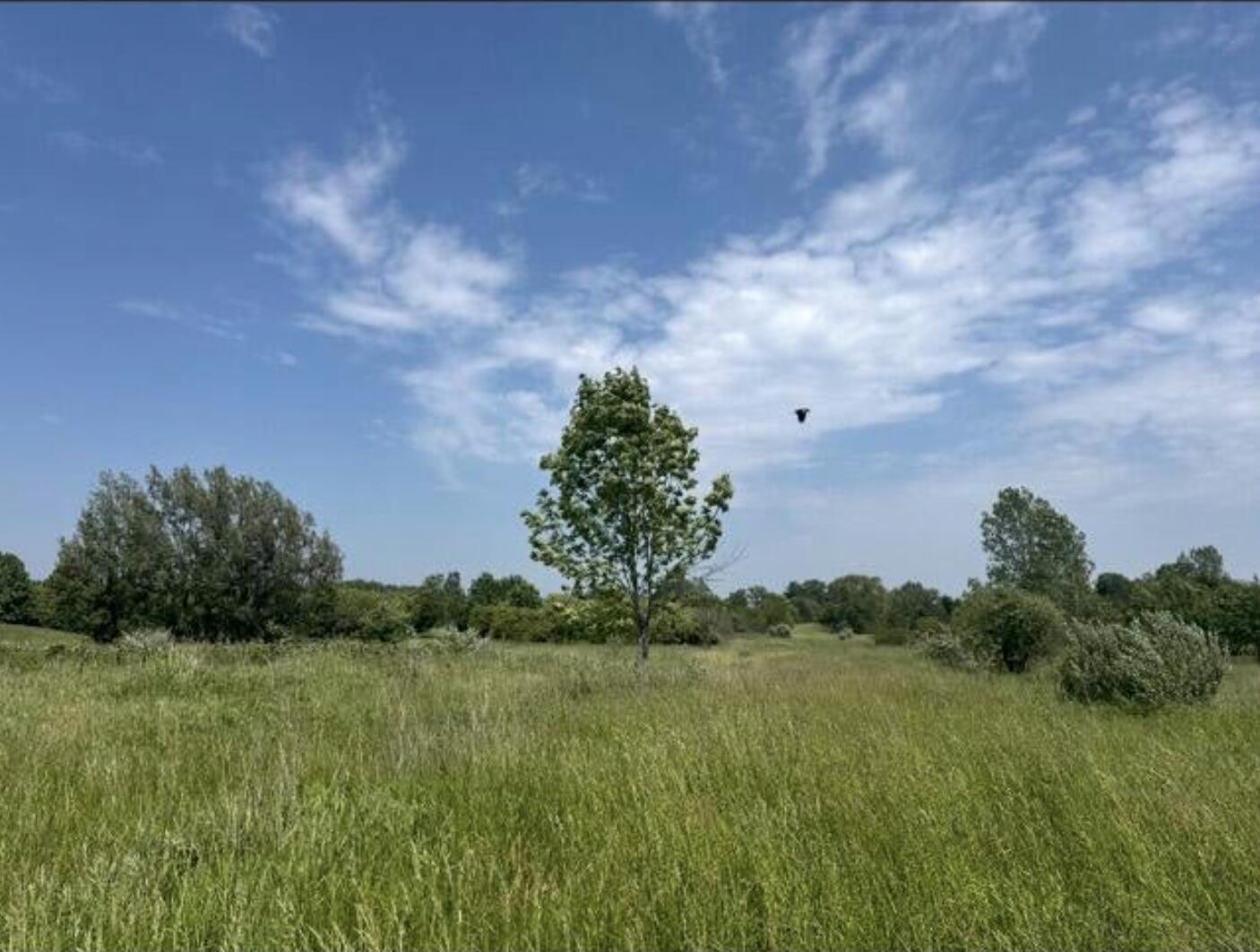 V/l Rolling Hills Drive Allegan MI 49408