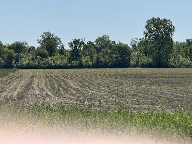 7200 B W Us Highway 12, Schwark Road Three Oaks MI 49128