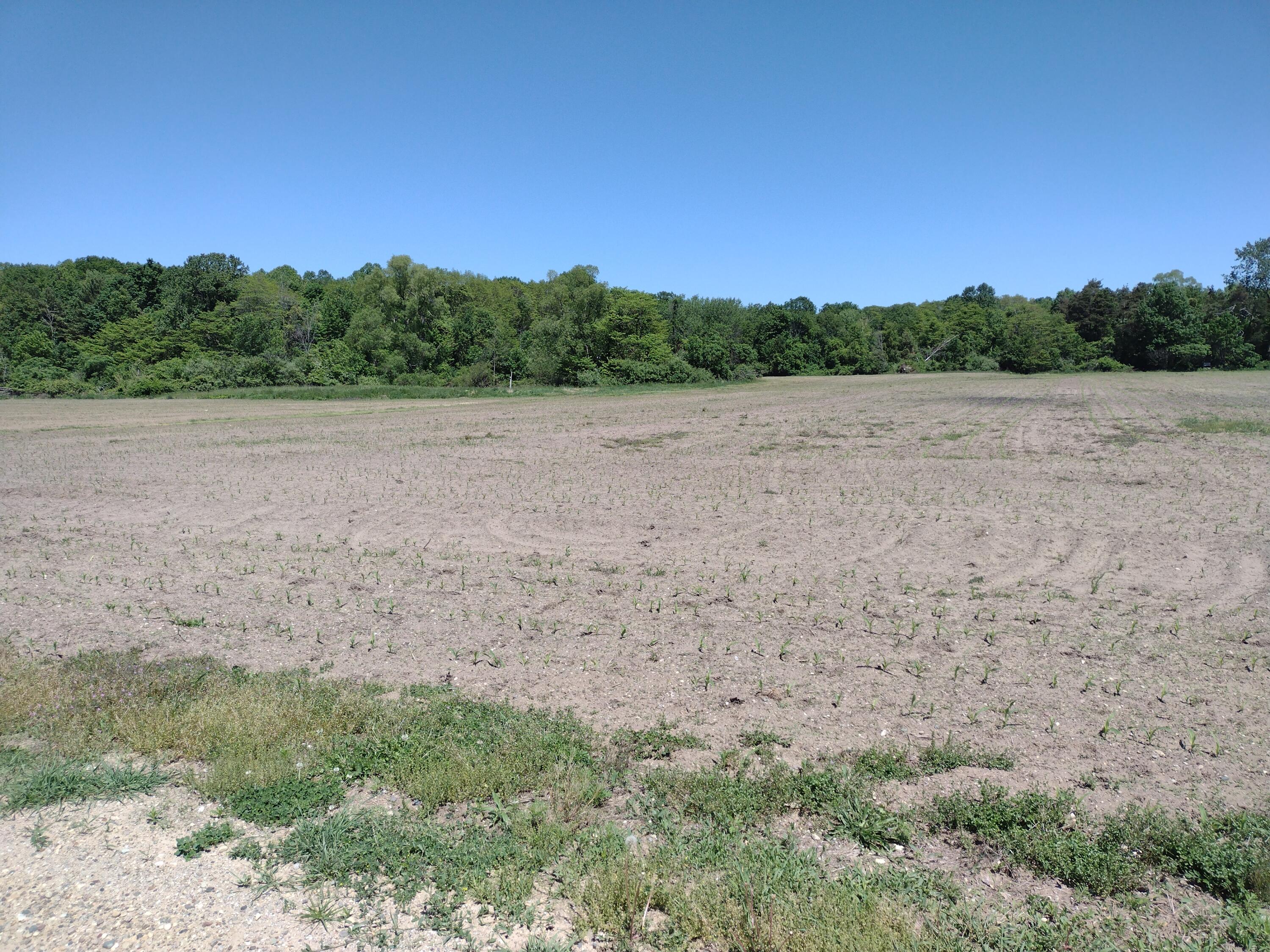 000-D 118th Avenue Fennville MI 49408