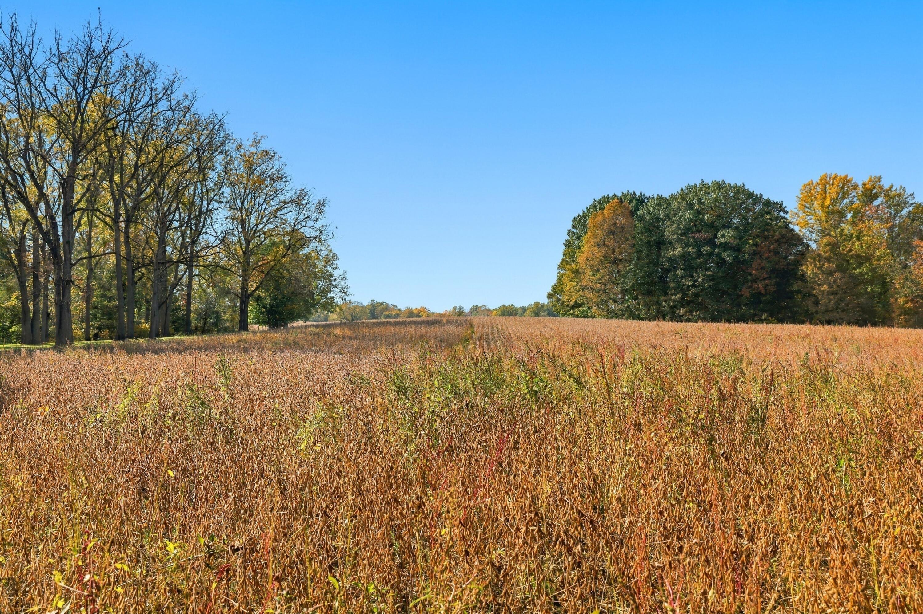 19375 S Lakeside Road Three Oaks MI 49128