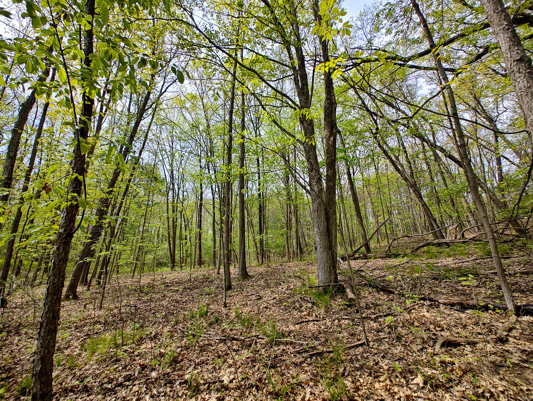 Vl Tipsico Lake Road Parcel B Fenton MI 48430