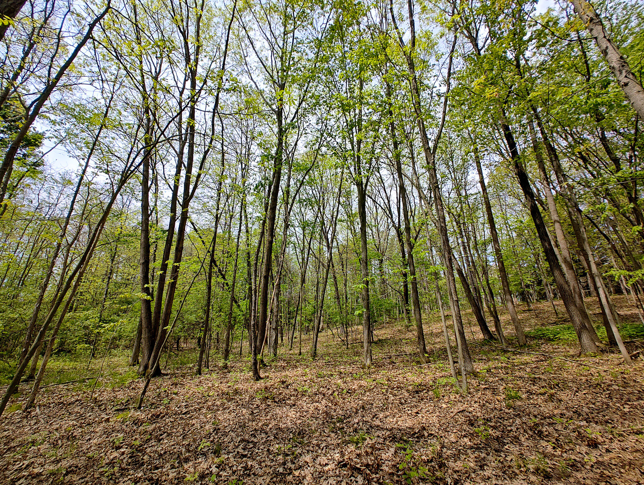 Vl Tipsico Lake Road Parcel B Fenton MI 48430