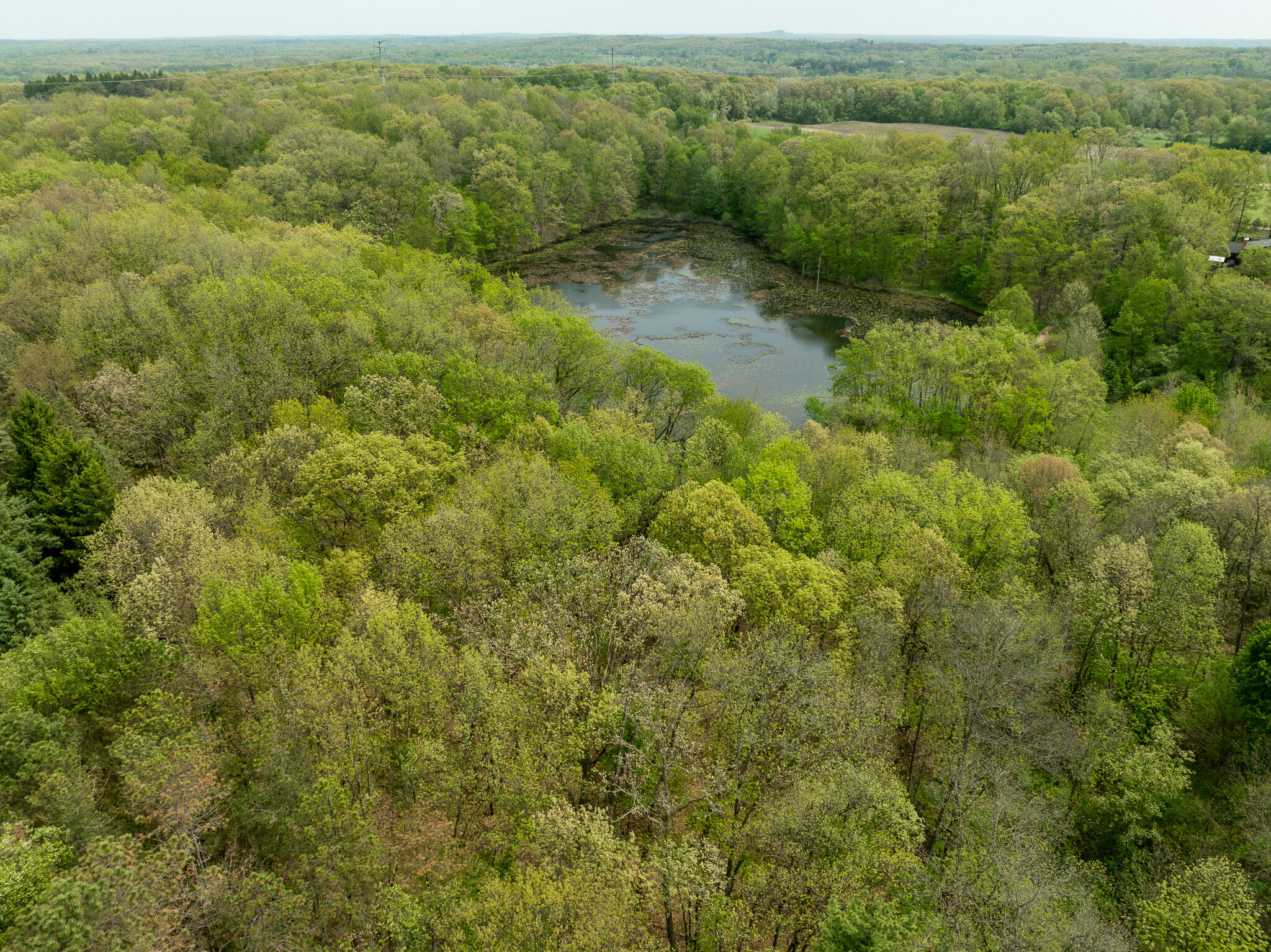 Vl Tipsico Lake Road Parcel B Fenton MI 48430