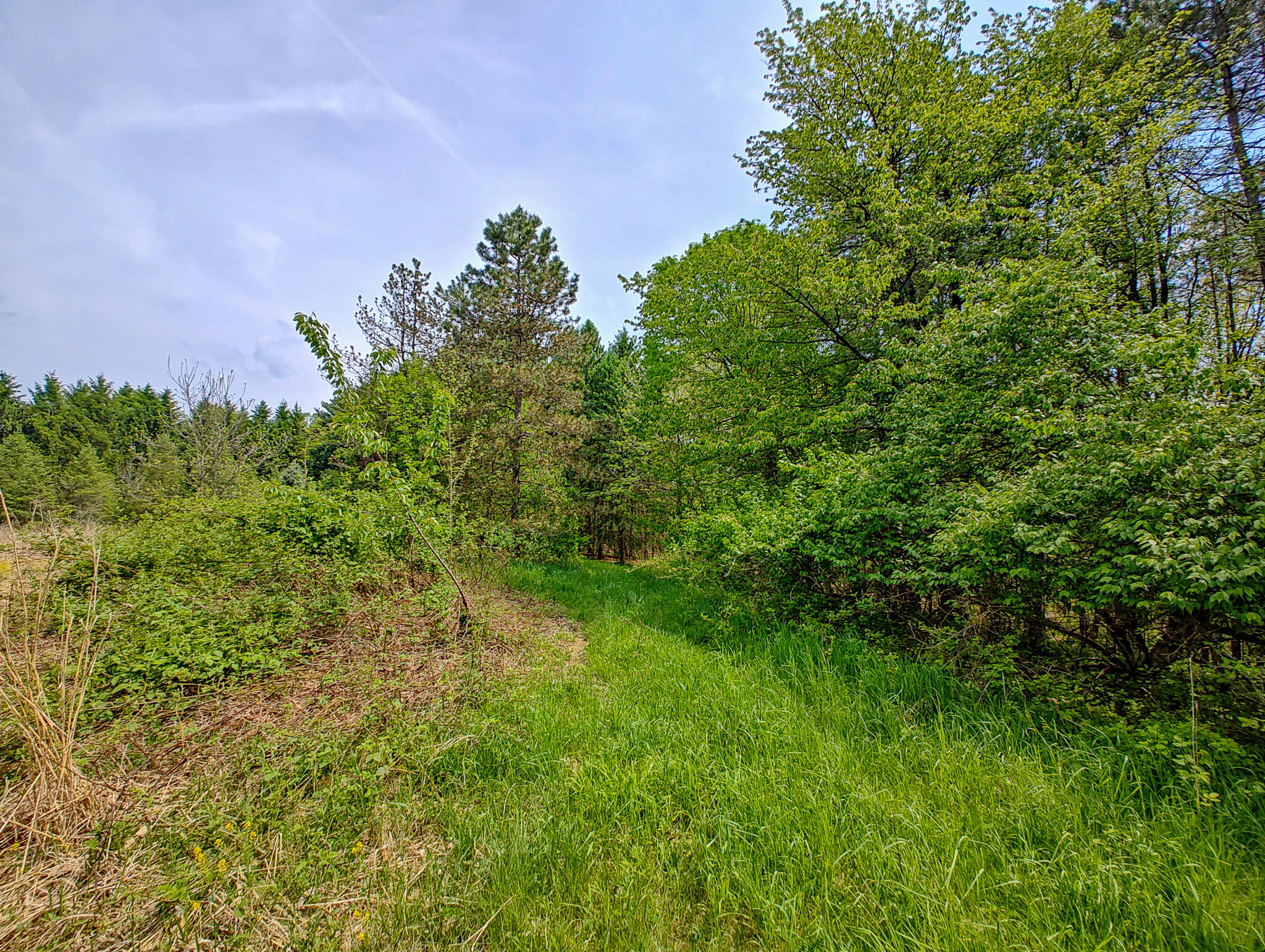 Vl Tipsico Lake Road Parcel B Fenton MI 48430